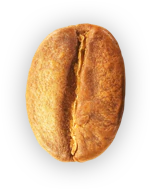 Kaffebønne