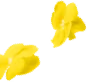 flowers-deco